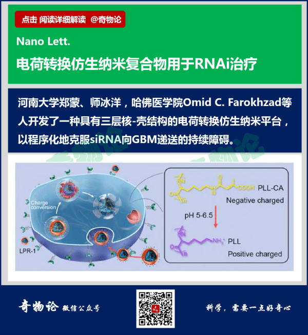 1583309915294824.jpg 10_副本.jpg