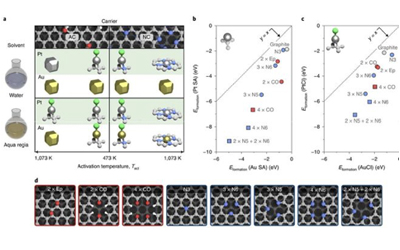 Nature Catalysis: 單原子Pt和單原子Au誰更強？