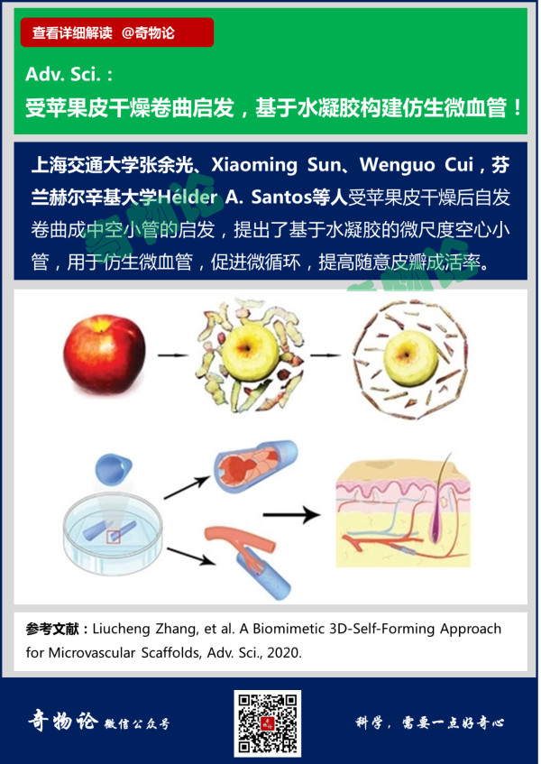 6_副本.jpg
