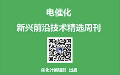 電催化周刊丨陳經廣、韓布興、李亞棟、俞書宏、李玉良、樓雄文、夏幼南、王雙印、曾杰等一周成果精選（第1期）