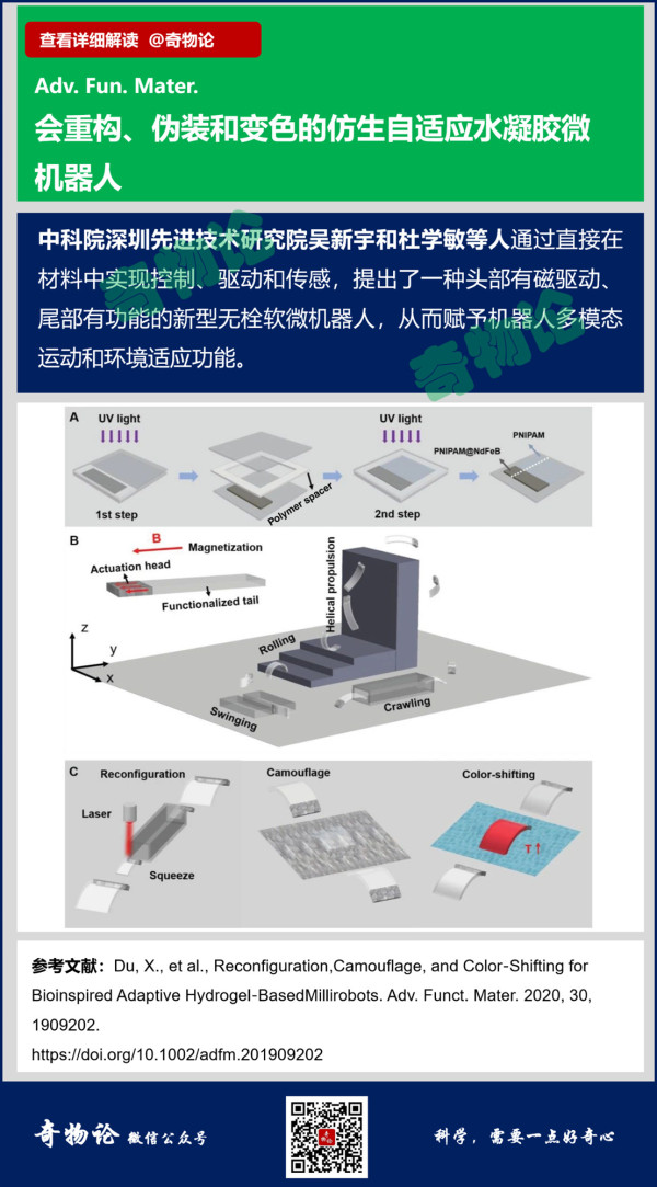 1583894648303406.jpg 0 (12)_副本.jpg