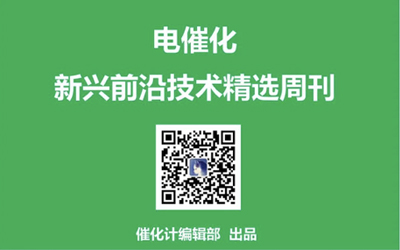 張濤、王中林、包信和、徐強、謝兆雄、姜政、吳忠帥、莊林、卜顯和、車仁超、陳曦等一周成果精選丨電催化周刊第2期
