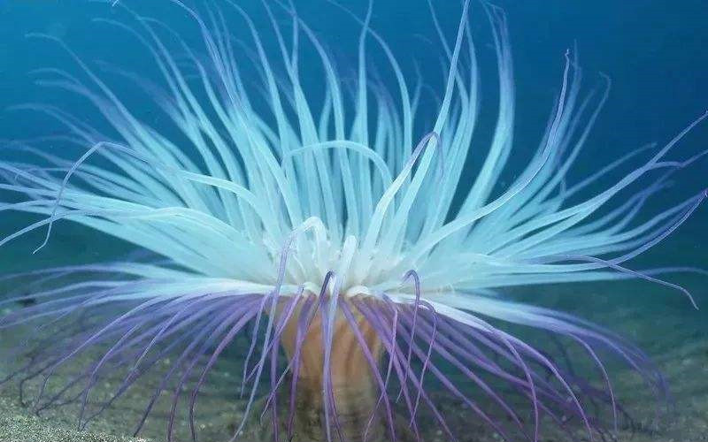 道法自然丨受大自然啟發的3篇Nature Materials