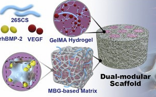  從最新10篇Biomaterials，看水凝膠如何大顯神通！