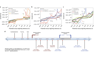 雷愛文/陳宜鴻Nature Catalysis： 80多種催化底物，一網(wǎng)打盡！