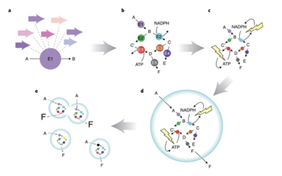 Nature Catalysis:  集成催化系統(tǒng)未來發(fā)展藍圖