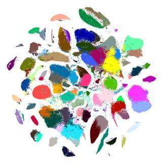 1586481462280169.png