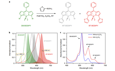Nature Catalysis: 世界上最重要的反應之一，到底是均相催化還是異相催化？