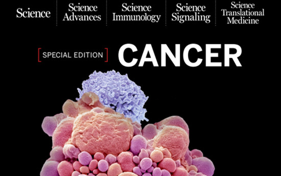 Science特刊 | 集齊Science家族5大雜志，用10篇論文召喚癌癥治療神獸！