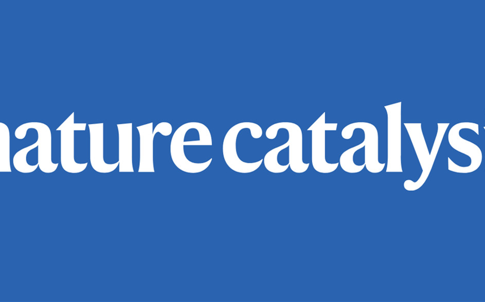 今日Nature Catalysis：重新認識金屬-載體相互作用！