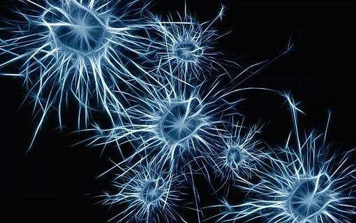 Nature Nanotech.: 控制多級藥物釋放速率，攻克納米藥物靶向淋巴結難題！