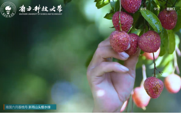 成立10周年就位列內(nèi)地高校前十，這所高校近期連續(xù)發(fā)表8篇Science、Nature