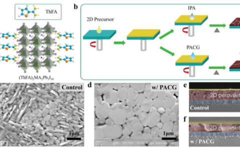 5天發(fā)表JACS和AEM，南開大學(xué)劉永勝團(tuán)隊在二維鈣鈦礦電池連續(xù)取得新進(jìn)展！
