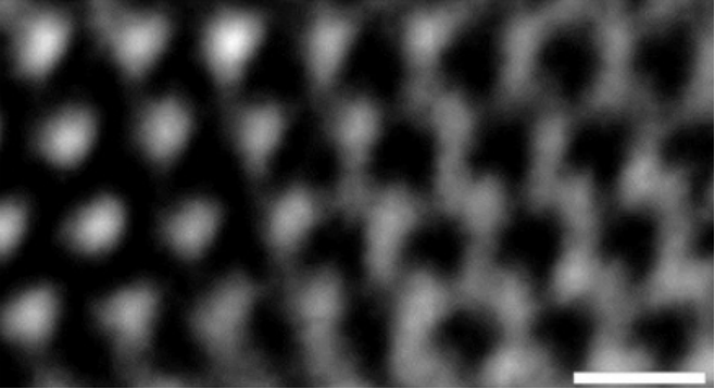 1595231612748116.png