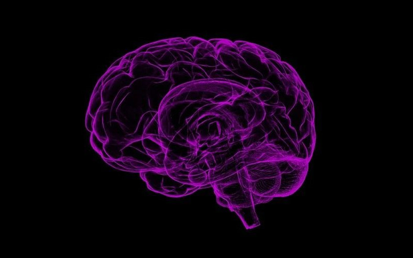 Science子刊：無論大小分子！新型藥物遞送顆粒利用神經遞質作為進入大腦的“護照”！