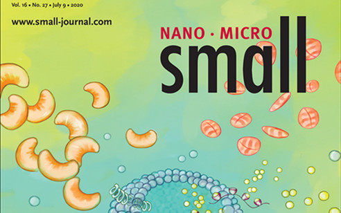 大牛指領！Small特刊：人工生物學如何構建？