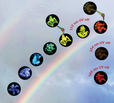 10.png