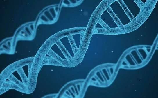 Nature/Science子刊連發(fā)重磅研究，一篇喜，一篇憂！