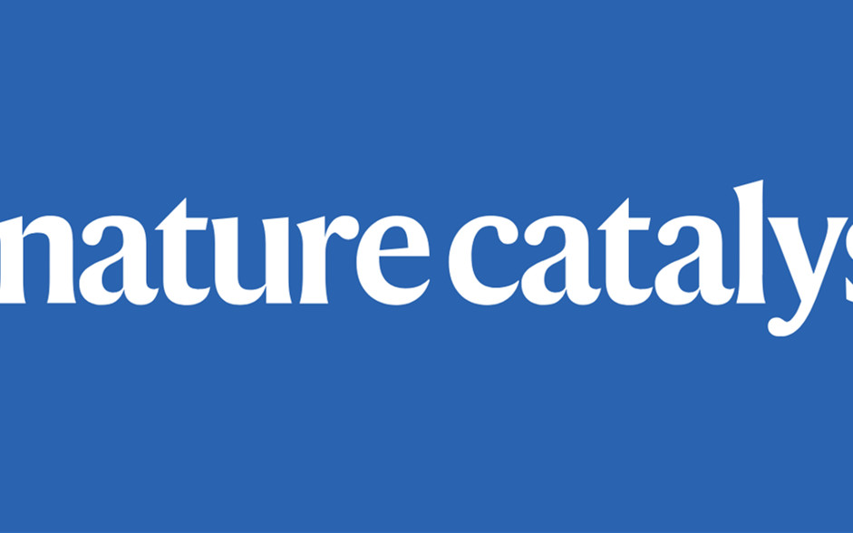 Nature Catalysis: 劍指光催化！