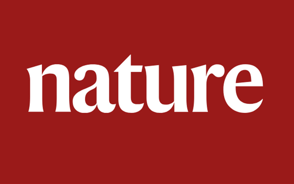 Nature子刊：高氮摻雜碳納米纖維構建高性能鉀離子電池！
