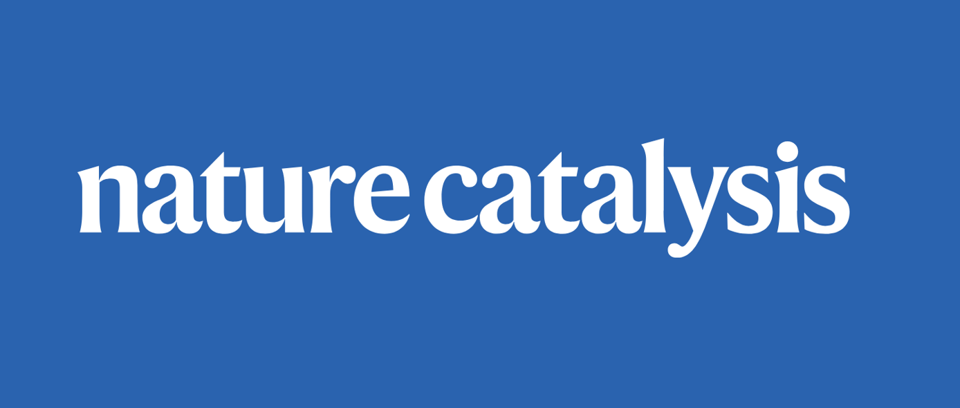 高密度Fe-NC催化劑，再登Nature Catalysis！