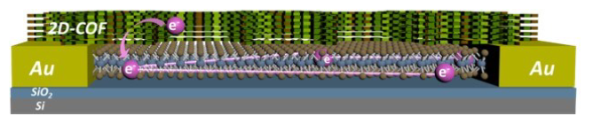 1694664248493221.png 1694664248493221.png
