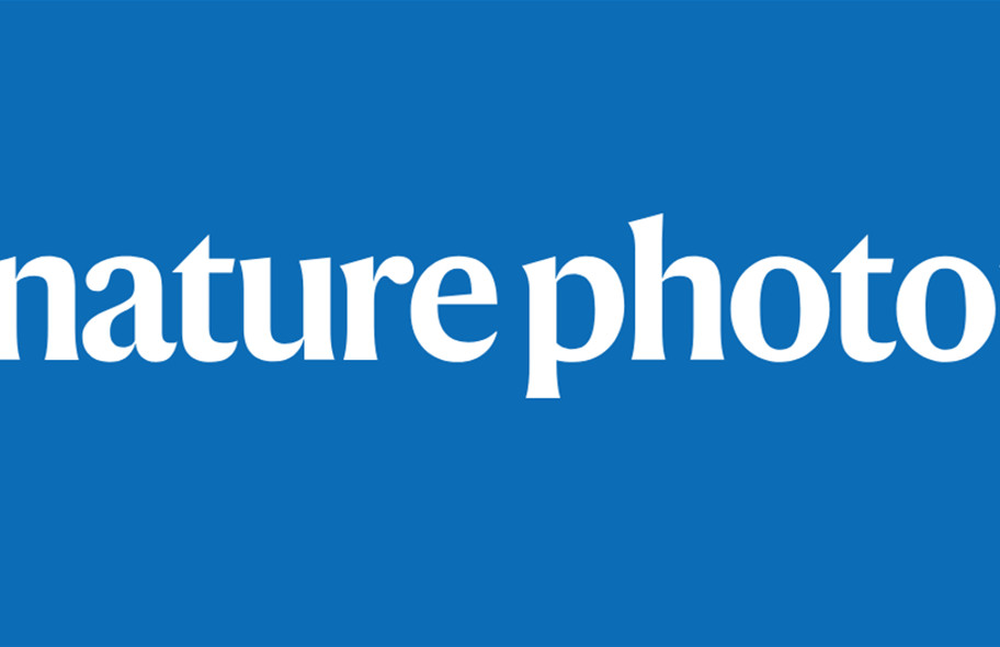 天津大學，今年首篇Nature Photonics！
