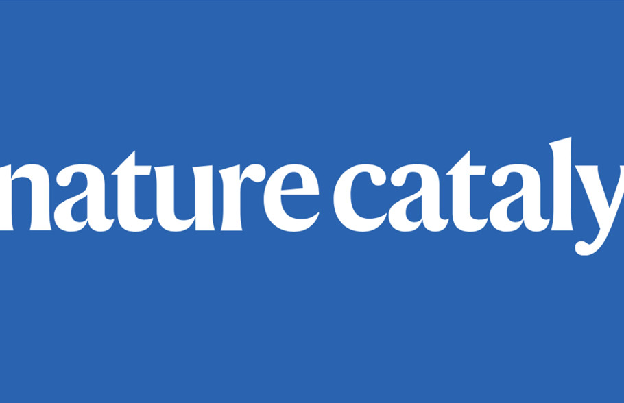 華中師范大學(xué)，今年首篇Nature Catalysis！
