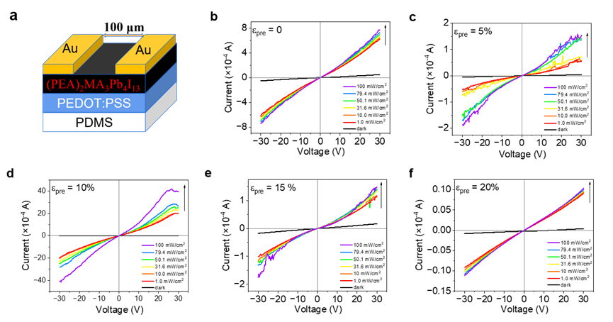 1745217866579644.png