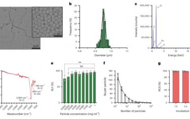 Nature Nanotechnology：體內(nèi)實(shí)時(shí)正電子發(fā)射粒子追蹤（PEPT）和單粒子PET