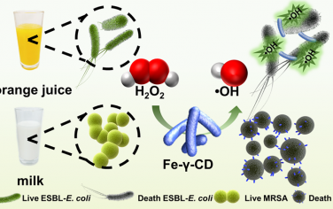 Nano Lett：具有類過氧化物酶活性的γ-環(huán)糊精還原鐵(III)納米粒子用于食品抑菌