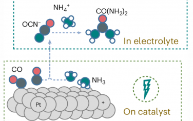 Nature Catalysis：Pt上CO與NH3電催化氧化偶聯合成尿素