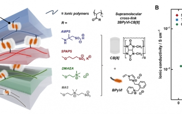Science Advances：用于軟質多層電子產品的高度可拉伸動態水凝膠