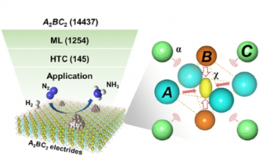 JACS：機器學習加速發現具有不同陰離子電子密度的 A2BC2 三元電子化合物