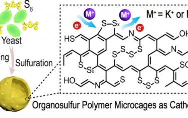 JACS：微型籠結(jié)構導電聚合物實現(xiàn)優(yōu)異的Na/K-S電池