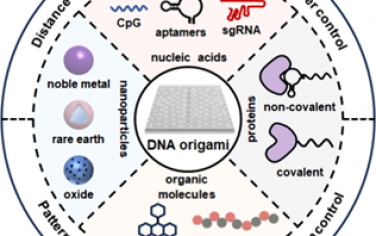 Nano Lett綜述：基于DNA折紙的精確分子組裝及其生物學應用