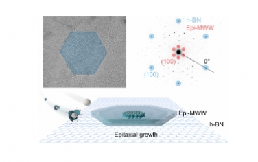 JACS：二維MWW分子篩的外延生長