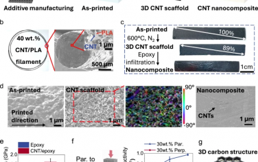 Nature Commun：CO2轉化為3D打印碳材料