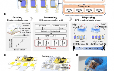 Science Advances：集成電化學(xué)汗液傳感器的電泳數(shù)字比色法