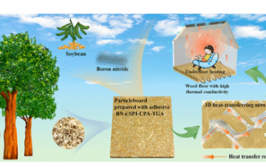 ACS Nano：用于導熱木基復合材料的強導熱蜘蛛絲大豆蛋白基粘合劑的制備