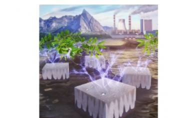 ACS Nano：具有雙重功能的全木質離子發電機，用于堿性廢水回用和能量收集