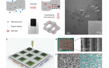 Science Advances：使用氣凝膠長絲在室溫下進行實時、噪聲和漂移彈性甲醛傳感
