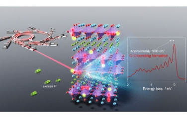 JACS：氟離子電池中涉及 O?O 鍵形成的高容量雙層鈣鈦礦氟氧化物陰極