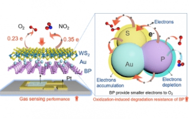 ACS Nano：用于高性能室溫氣體傳感的 2D-0D-2D 夾層異質(zhì)結(jié)構(gòu)