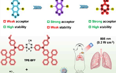  ACS Nano：對供體-受體-供體結構NIR-II AIEgens進行再改造以實現饑餓-光熱腫瘤治療和肺轉移抑制
