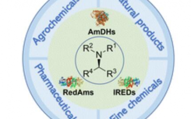 Chem. Soc. Rev.：NAD(P)H-依賴性酶的生物催化還原胺化