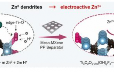 JACS：通過具有活性邊緣位點的介孔 MXene 將 Zn0 枝晶恢復為電活性 Zn2+