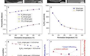 Science Advances：用于精確高溫H2和CO2分離的超選擇性碳膜