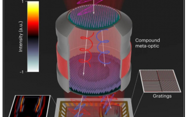 Nature Nanotechnology：用于加速機(jī)器視覺的多通道元成像器