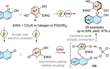 浙江工業(yè)大學(xué)JACS：有機(jī)電催化芳基脫氫交叉偶聯(lián)合成雙芳基二醇